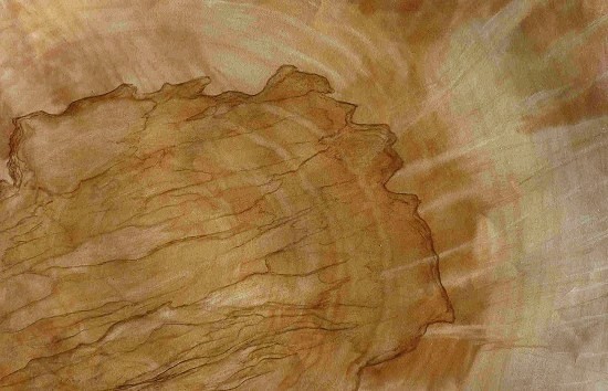 imitation de bois de fr&ecirc;ne