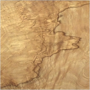 Faux frene en imitation de peinture d&eacute;corative